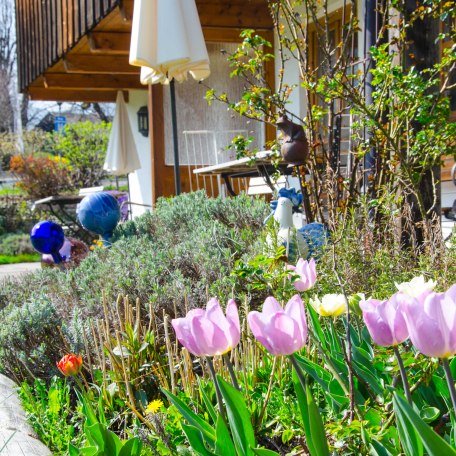 Außenansicht Terrasse und Beet, © Miller Renate