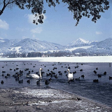 Winter am Tegernsee, © im-web.de/ Tourist Information Tegernsee