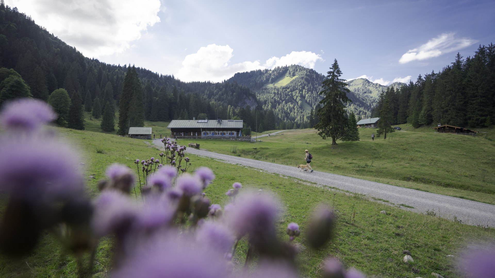 Die Schwarzentenn-Alm, &copy; &copy;Der Tegernsee, Dietmar Denger