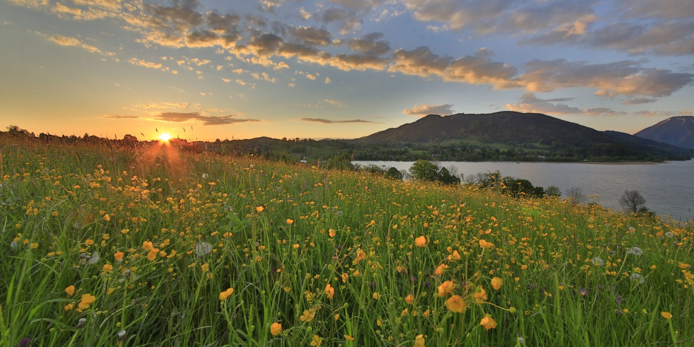 TTT_0514_EK_Ort_Fr&uuml;hling_Gmund-0007, &copy; TTT-Egbert Krupp