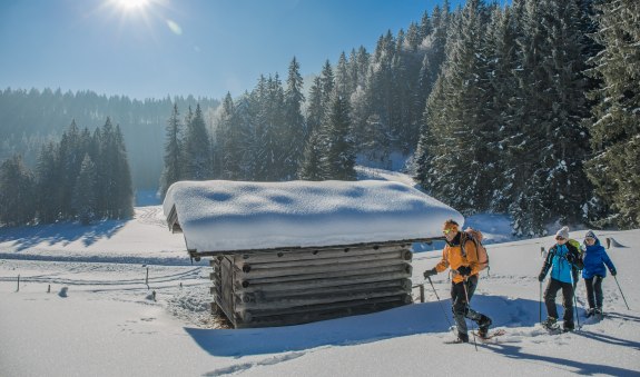 Schneeschuhtour im Suttengebiet, © Christoph Schempershofe