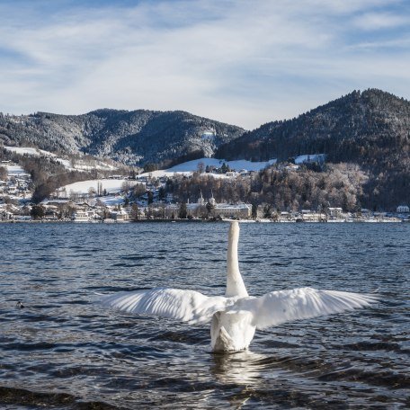 Winter in Tegernsee , © Christoph Schempershofe 