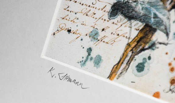 Klaus Altmann Aquarelle