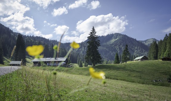 Das Bergsteigerdorf Kreuth hat sich zum Erhalt von Natur und Landschaft verpflichtet sowie zur Bewahrung der Tradition und des Brauchtums. In der Bergsteigerdorf Zeitung werden Einheimische, regionale Betriebe und naturnahe Aktivitäten beleuchtet, welche diesem Grundsatz nachgehen und dem Bergsteigerdorf seinen Glanz verleihen. 