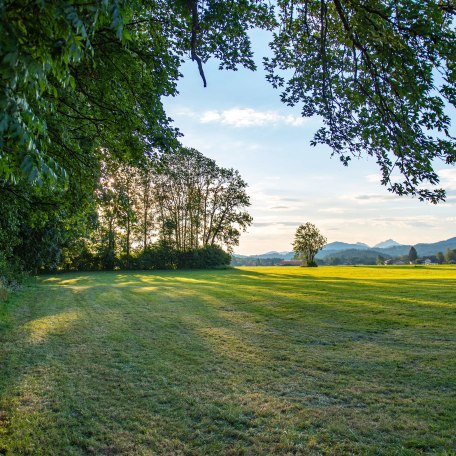 Wiesen und Wälder östlich vom Glaslhof, © ©grafiphant