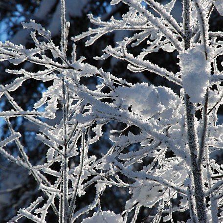 Hotel garni Haus Kiefer in Bad Wiessee am Tegernsee, © GERLIND SCHIELE PHOTOGRAPHY TEGERNSEE