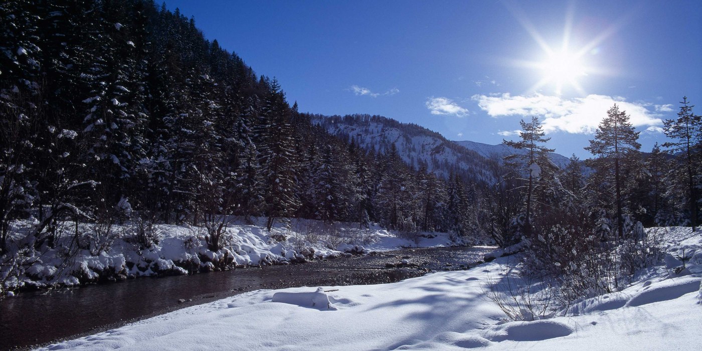 Winter-Weissachauen Winter-Weissachauen