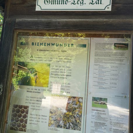 Lehrbienenstand_Gmund_11, © DER TEGERNSEE I. Munstermann Lehrbienenstand_Gmund_11, © DER TEGERNSEE I. Munstermann