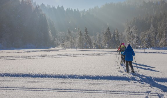 Schneeschuhwandern im Suttengebiet, © Christoph Schempershofe