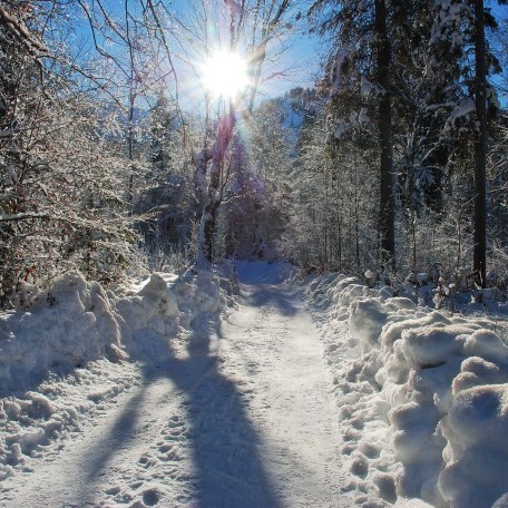 Hotel garni Haus Kiefer in Bad Wiessee am Tegernsee, &copy; GERLIND SCHIELE PHOTOGRAPHY TEGERNSEE