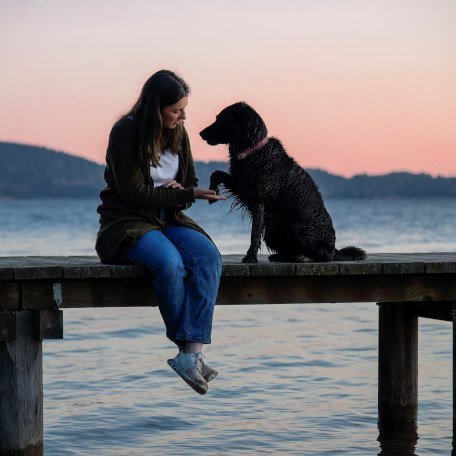Hund, © Schnitzer´s Dahoam