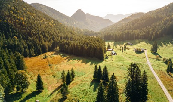 Musi auf der Alm, &copy; Julian Rohn