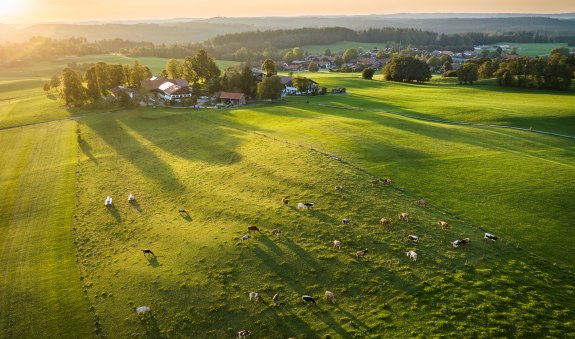 Fichtholz-Runde, © Markt Holzkirchen