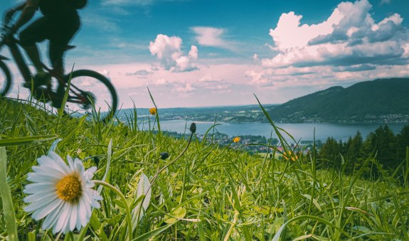 DSC02692, © Sebastian Waitz DSC02692, © Sebastian Waitz