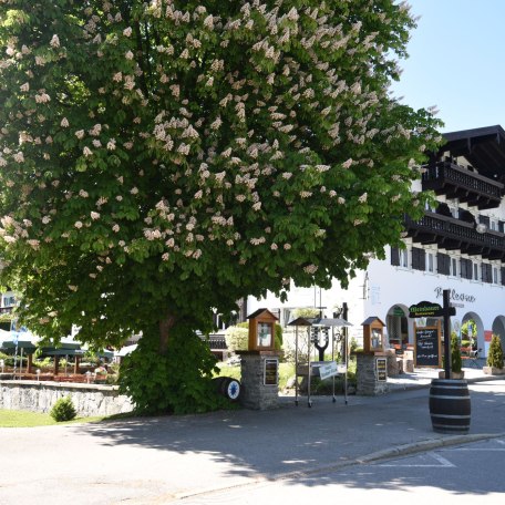 © Der Tegernsee © Der Tegernsee