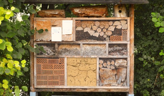 Insektenhotel, &copy; pronatour