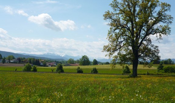 Zwischen Holzkirchen und Glonn, © Markt Holzkirchen