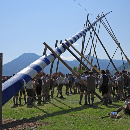 Maibaum Aufstellen in Bad Wiessee, © Manfred Manke