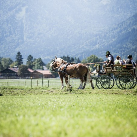 Rosstag, © Der Tegernsee, Hansi Heckmair