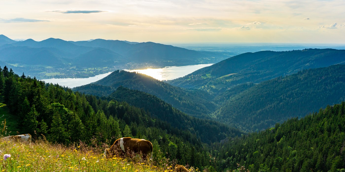TTT_0719_StP_Aktiv_Wandern_Baumgartenschneid-0009, © TTT-Plettenberg TTT_0719_StP_Aktiv_Wandern_Baumgartenschneid-0009, © TTT-Plettenberg