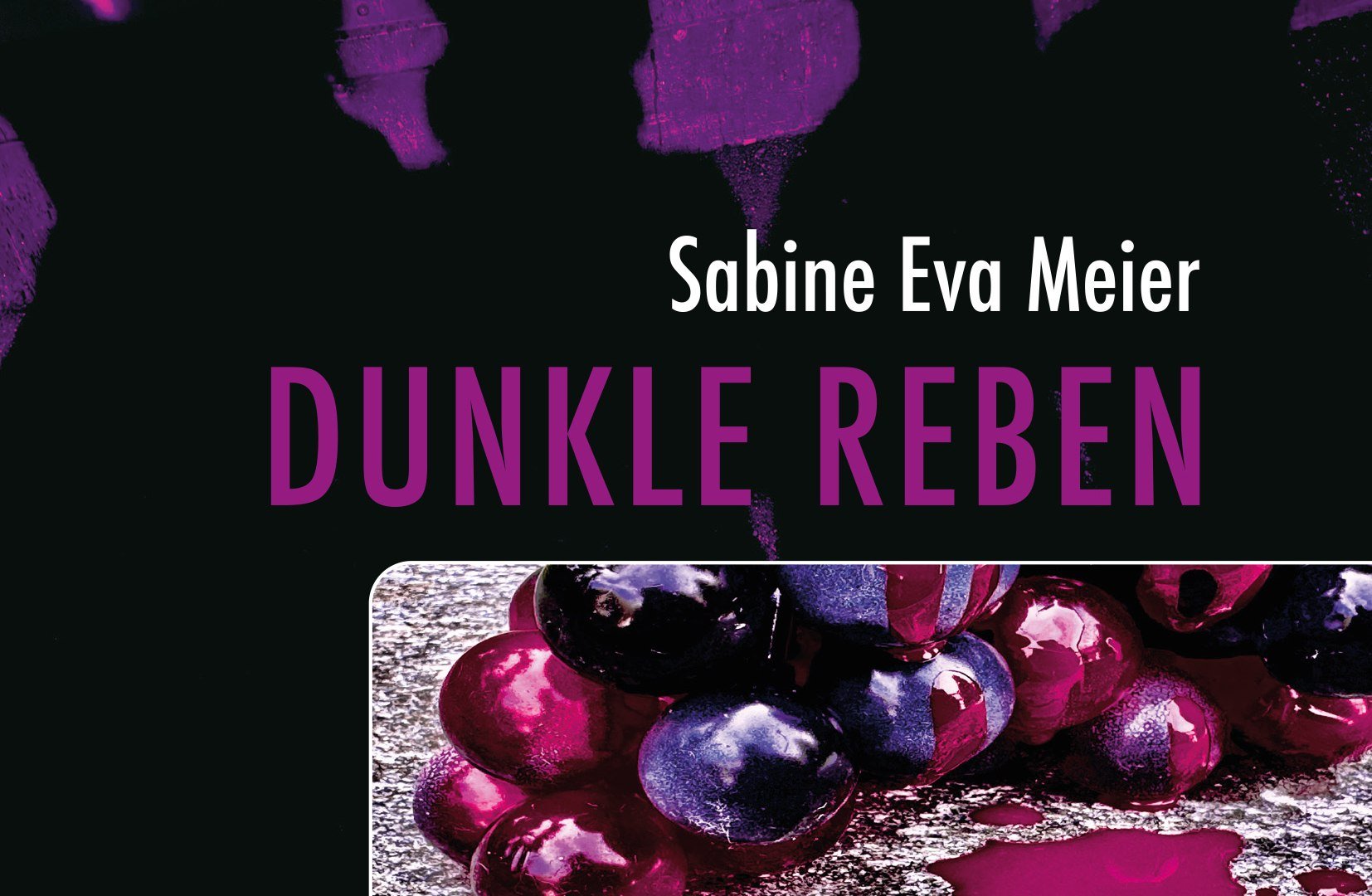Buch Sabine Meier