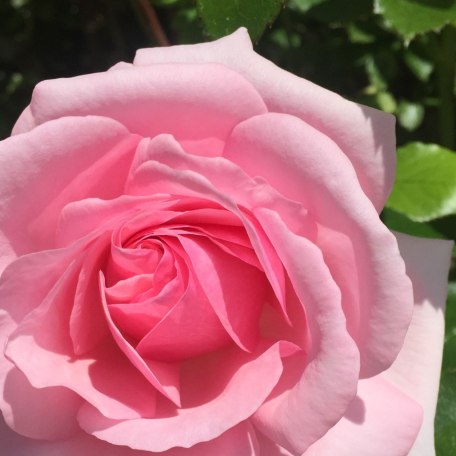 Ferienwohnungen Sennhofer 5, © Ferienwohnungen Sennhofer Ferienwohnungen Sennhofer 5, © Ferienwohnungen Sennhofer