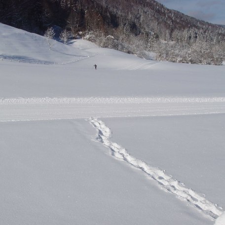Direkt hinter unserem Haus f&uuml;hrt eine sch&ouml;ne und weitl&auml;ufige Langlaufloipe vorbei., &copy; im-web.de/ Regionalentwicklung Oberland Kommunalunternehmen