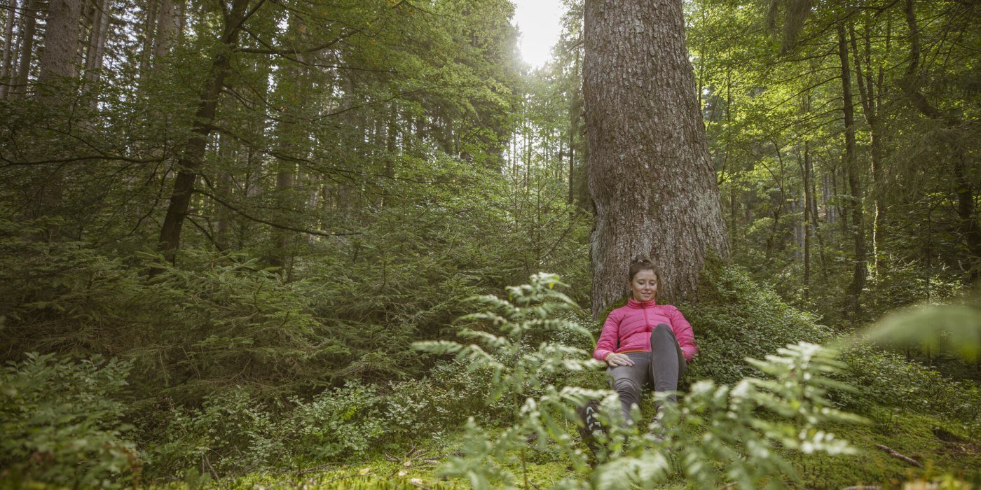 Gesundheit_Waldbaden, &copy; Der Tegernsee (Hansi Heckmair)