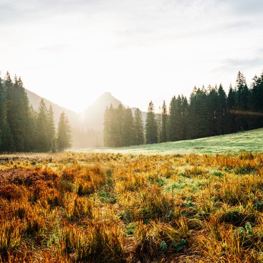 &copy; DER TEGERNSEE, Juliaan Rohn_Schwarzenbach_0019, &copy; DER TEGERNSEE