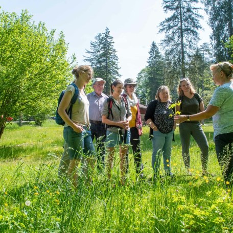 TTT_0524_TP_Event_Natuerlich Kreuth_Kraeuterwanderung_0010, &copy; TTT-Thomas Plettenberg
