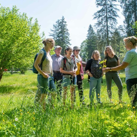 TTT_0524_TP_Event_Natuerlich Kreuth_Kraeuterwanderung_0010, &copy; TTT-Thomas Plettenberg