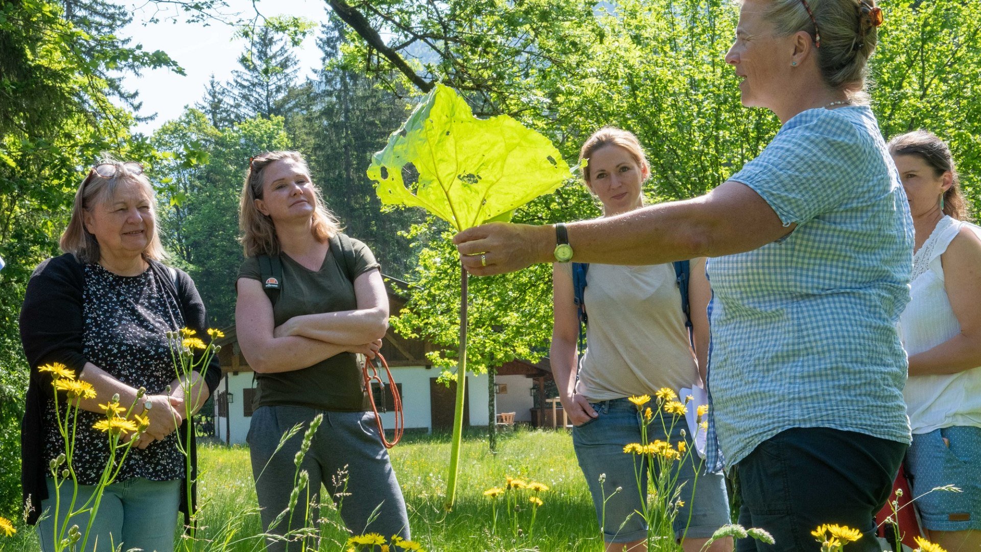 Kr&auml;uterwanderung &copy; Der Tegernsee, Thomas Plettenberg (4)