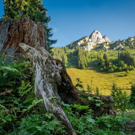 Kreuth und Umgebung Natur pur, © im-web.de/ Tourist-Information Kreuth