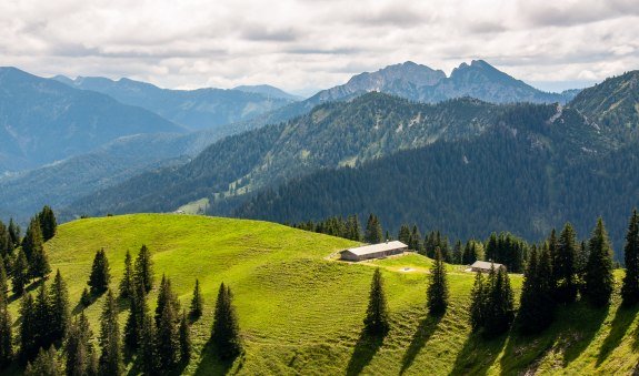 Gams_Wallberg_Rottach &copy; Der Tegernsee, Sabine Ziegler-Musiol_App, &copy; &copy; Der Tegernsee, Sabine Ziegler-Musiol