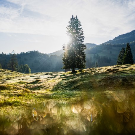NK_Leben auf der Alm © Creativ Instinkt_0051, © DER TEGERNSEE
