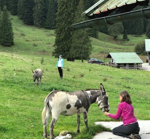 Eselwanderung im Bergsteigerdorf, © Eseltreff am Tegernsee