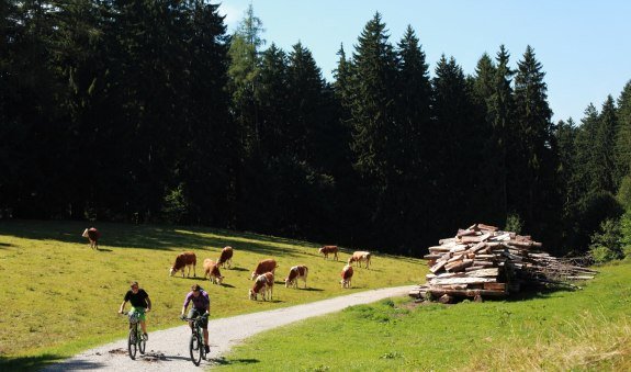 Unterwallberg Runde (Tour Nr. 33 aus dem "RadlTraum Süd"), © Alpenregion Tegernsee Schliersee