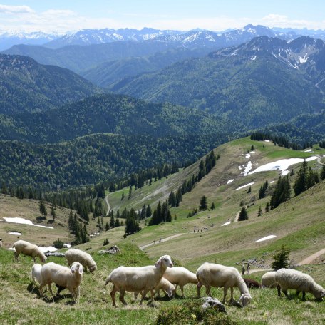 Wanderung auf unsere Berge, © Wiefarn Apartments