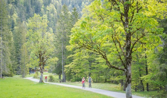 Erzherzog-Johann-Reibn von Kreuth, &copy; DER TEGERNSEE