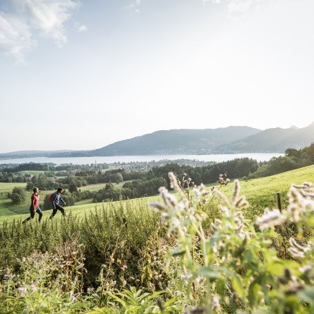 Auf einfachen Wandertour rund um den Tegernsee erklimmen Sie die bayerischen Berge auf gemütliche Art und Weise., © Christoph Schempershofe