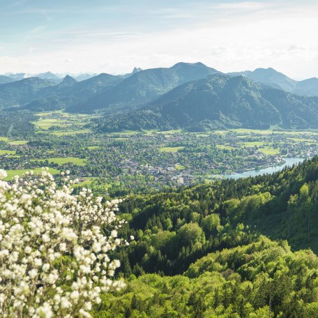 tegernsee-im-fruehling-der-tegernsee-dietmar-denger, &copy; Dietmar Denger