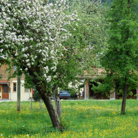 https://d1pgrp37iul3tg.cloudfront.net/objekt_pics/obj_full_122568_001.jpg, © im-web.de/ Tourist-Information Gmund am Tegernsee