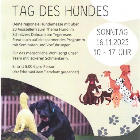 Bildschirmfoto_7-7-2025_133042_, © Schnitzers Dahoam Bildschirmfoto_7-7-2025_133042_, © Schnitzers Dahoam