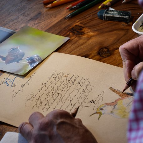 Klaus Altmann Aquarelle