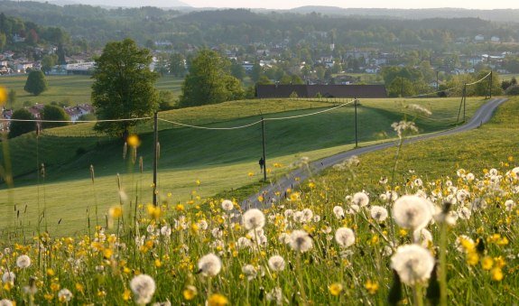 Blick vom Voglherd, &copy; Alpenregion Tegernsee Schliersee