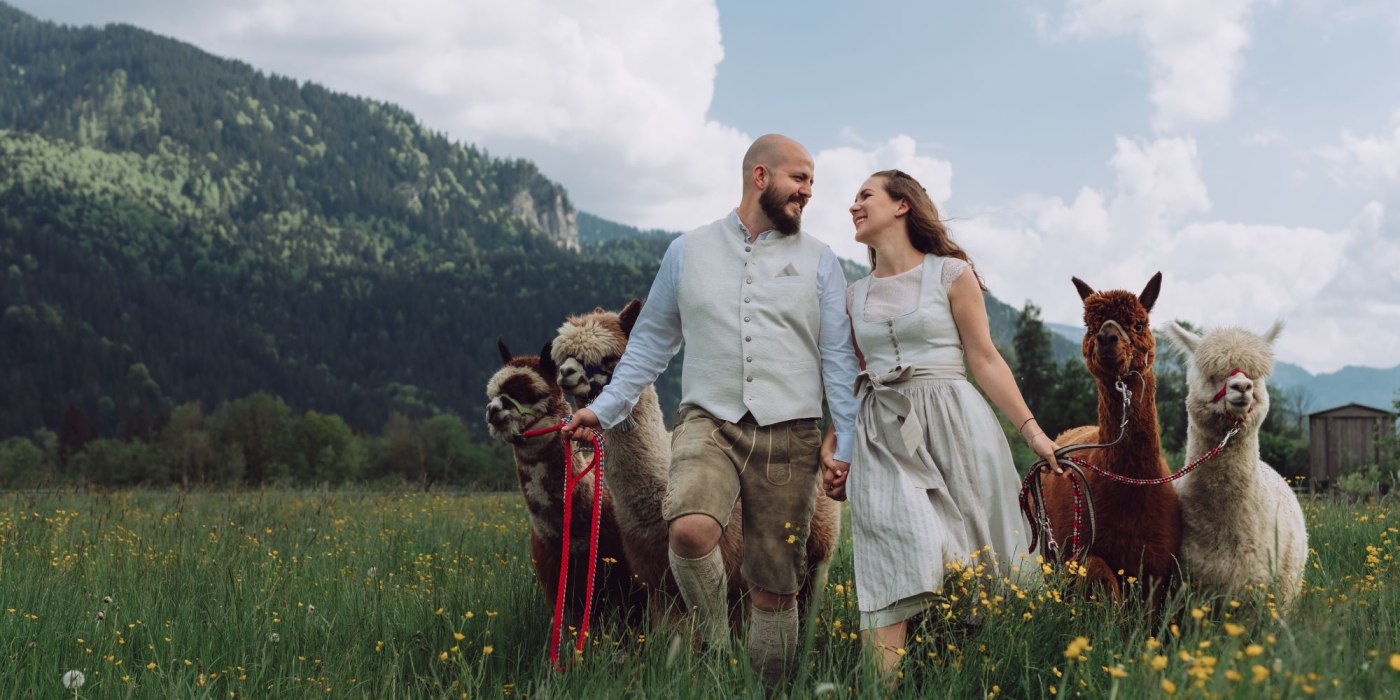 alpakahochzeit, © FotoWerk (Mihaly Szluka) alpakahochzeit, © FotoWerk (Mihaly Szluka)