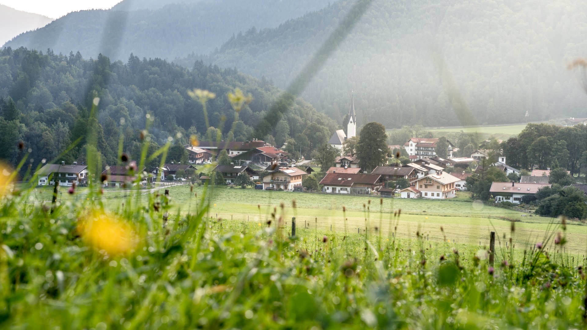 Der Blick &uuml;ber eine saftige Wiese auf den Ort Kreuth, &copy; Julian Rohn
