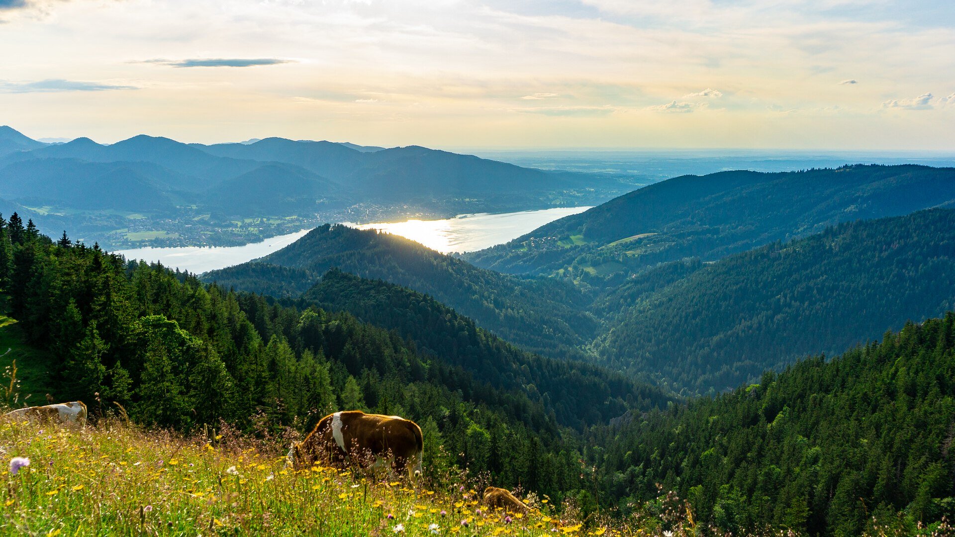 TTT_0719_StP_Aktiv_Wandern_Baumgartenschneid-0009, &copy; TTT-Plettenberg