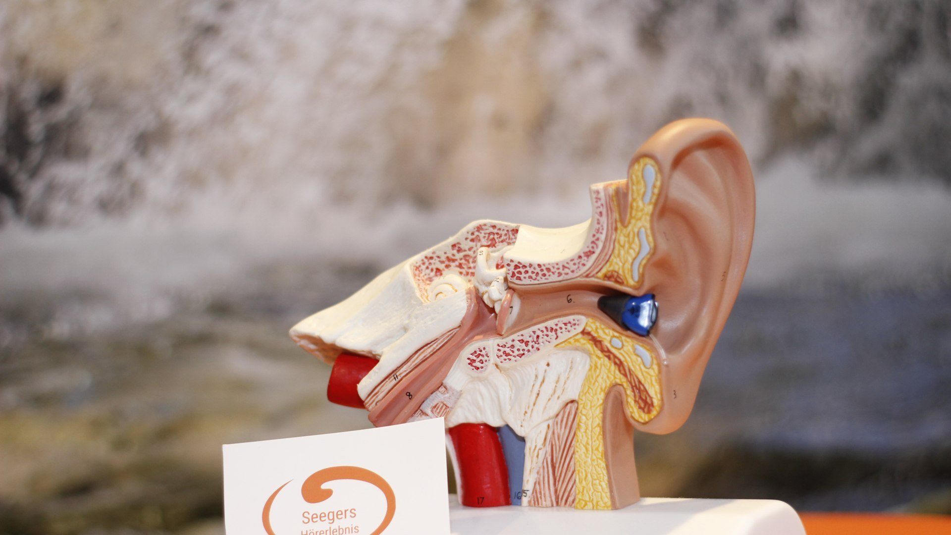 mg_0631, &copy; Seegers H&ouml;rerlebnis