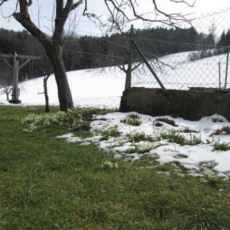 https://d1pgrp37iul3tg.cloudfront.net/objekt_pics/obj_full_32242_001.jpg, © im-web.de/ Tourist-Information Gmund am Tegernsee